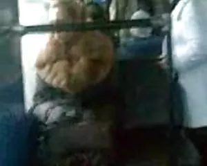 Transporte de exposición de 4 videos xxc