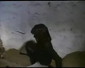 El sexo de la comedia, vintage cine alemán de lass 2 videos en xxx